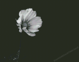 Aesthetic Black And White Flower Diamond Painting