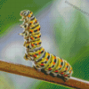 Caterpillar Insect Art Diamond Painting