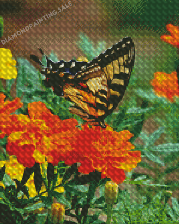 Swallowtail On Marigolds Diamond Painting