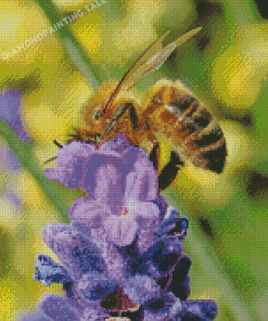 Bee On Lavender Diamond Painting