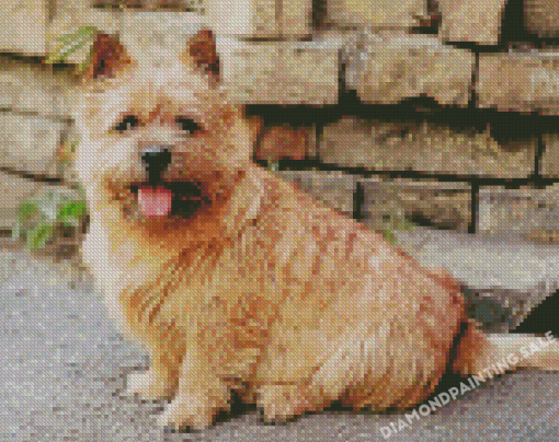 Norwich Terrier Dog Diamond Painting