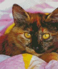 The Tortoiseshell Cat Diamond Painting