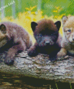 Three Wolf Pups Diamond Painting