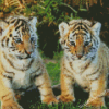 Baby Tigers Animal Diamond Painting