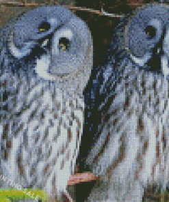 Aesthetic Owl Couple Diamond Painting