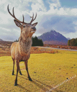 Cute Highland Stag Animal Diamond Painting