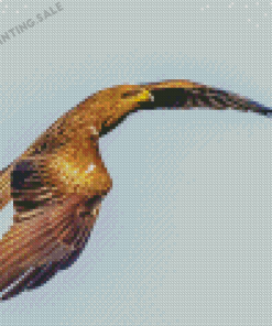 Flying Indian Spotted Eagle Diamond Painting