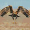 Flying Indian Spotted Eagle Bird Diamond Painting