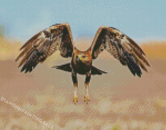 Flying Indian Spotted Eagle Bird Diamond Painting