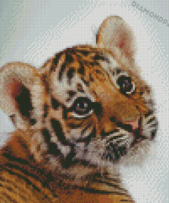 Lovely Baby Tiger Animal Diamond Painting