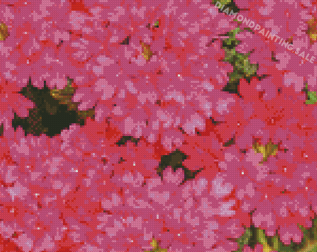 Pink Verbena Flowers Diamond Painting