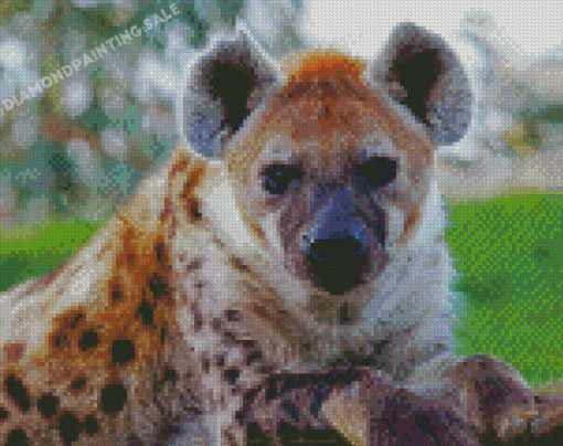 Spotted Hyena Diamond Painting