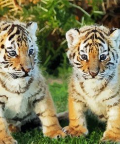 Baby Tigers Animal Diamond Painting