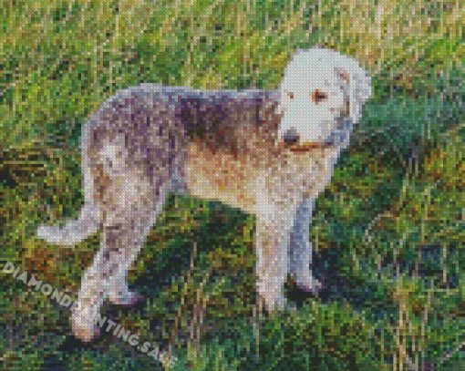 Bedlington Dog Diamond Painting