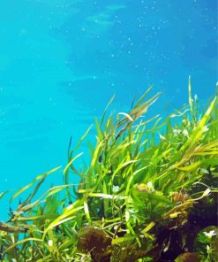Green Seaweed Under Water Diamond Painting