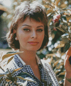 Actress Sophia Loren Diamond Painting