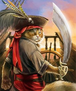 Pirate Cat Diamond Painting