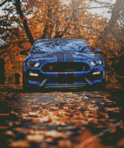 Ford Shelby GT350R Car Diamond Painting