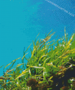 Green Seaweed Under Water Diamond Painting