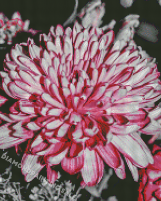 Grey And Pink Flower Diamond Painting