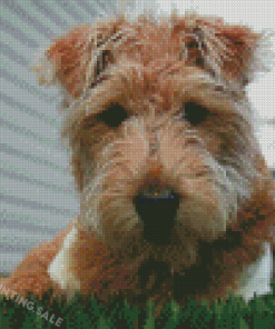 Lakeland Terrier Dog Animal Diamond Painting