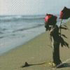 Roses And Beach Diamond Painting