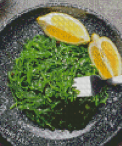 Seaweed And Lemon Meal Diamond Painting