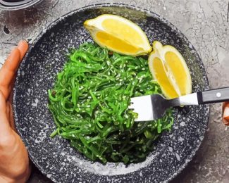 Seaweed And Lemon Meal Diamond Painting