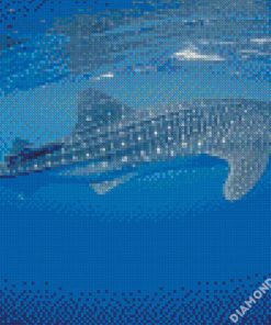 Whale Shark Fish Diamond Painting