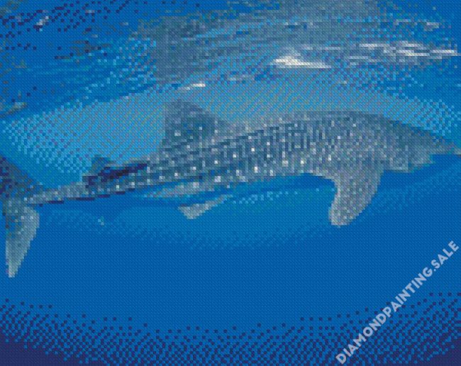 Whale Shark Fish Diamond Painting