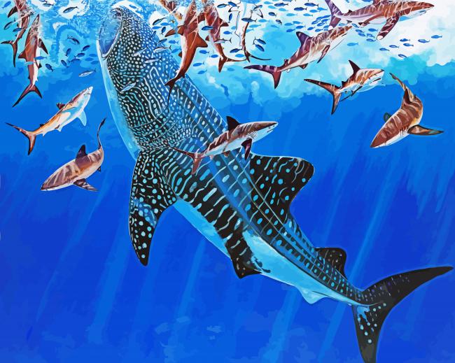 Whale Shark Underwater Diamond Painting