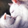 Cat Mother And Her Baby kitten Art Diamond Painting