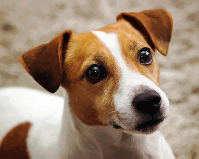 Cute Jack Russell Terrier Diamond Painting