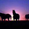 Farm Horses Sunset Silhouette Diamond Painting