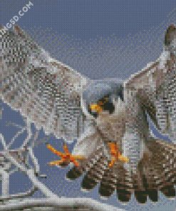 Flying Falcon diamond painting