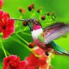 Flying Hummingbird diamond painting
