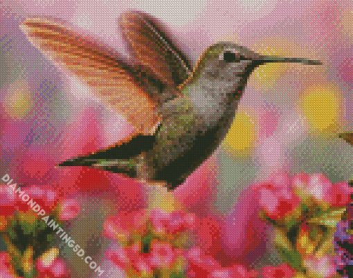 Hummingbird diamond painting