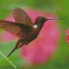 Hummingbird And Flower diamond painting