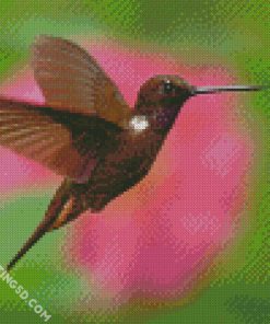 Hummingbird And Flower diamond painting