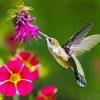 Hummingbird And Pink Flower diamond painting