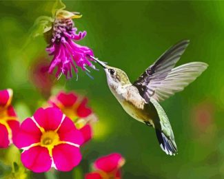 Hummingbird And Pink Flower diamond painting