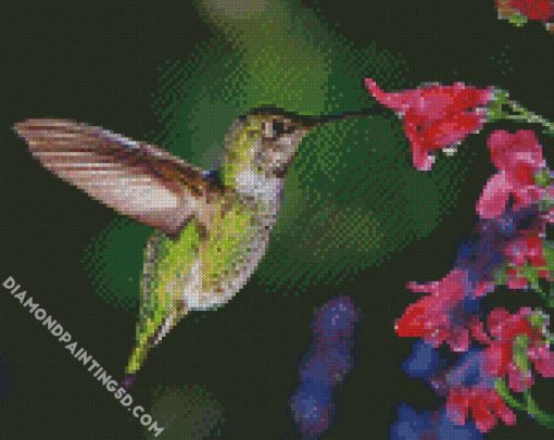 Hummingbird With Flowers diamond painting