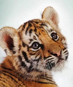 Lovely Baby Tiger Animal Diamond Painting