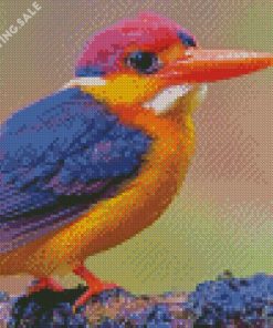Oriental Dwarf kingfisher Diamond Painting