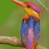 Oriental Dwarf kingfisher Bird Diamond Painting