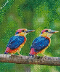 Oriental Dwarf kingfisher Birds Diamond Painting