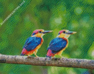 Oriental Dwarf kingfisher Birds Diamond Painting