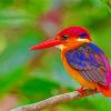 Oriental Dwarf kingfisher On Stick Diamond Painting