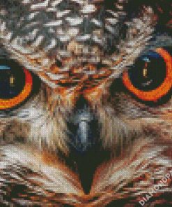 Owl Eye diamond painting