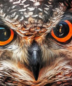 Owl Eye diamond painting
